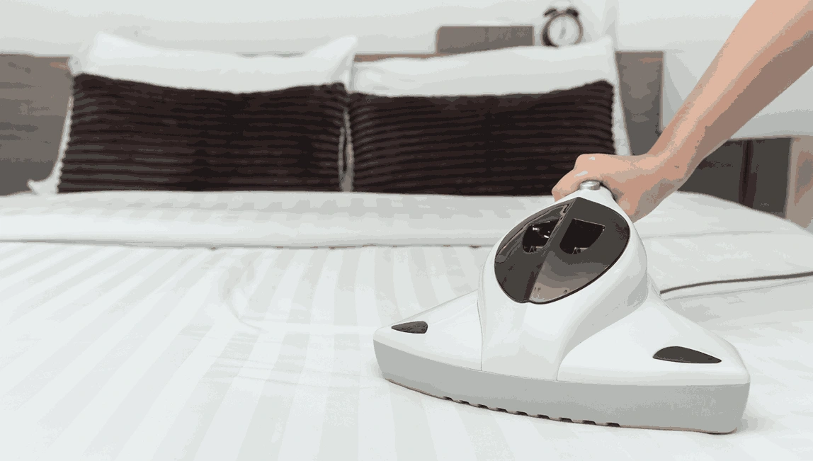 Professional Mattress Cleaning Dandenong